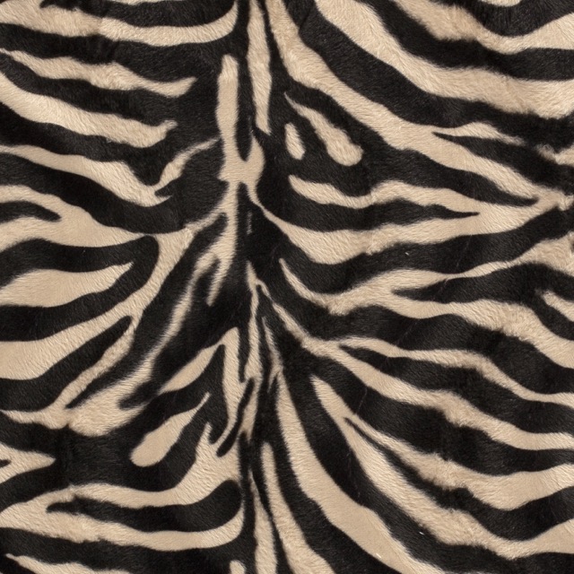 Fellimitat Zebras camel
