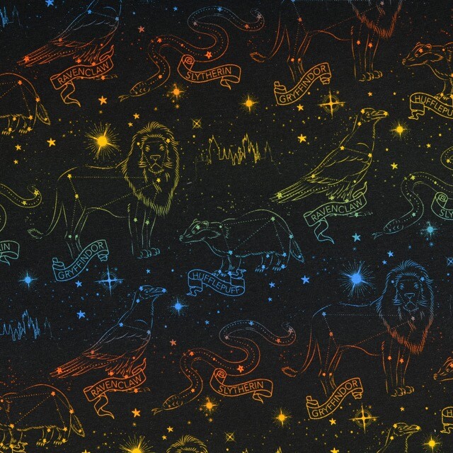 Baumwolljersey digitaldruck harry potter multicolor