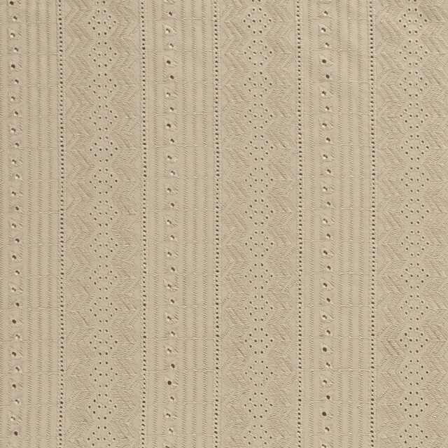 Baumwoll Voile bestickt Abstrakt beige