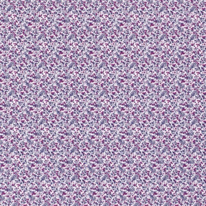 19417_061_1.jpg