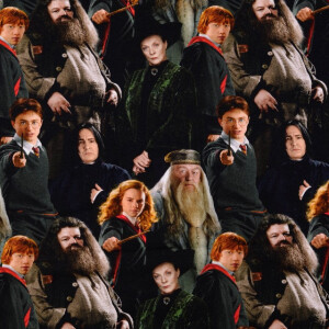Baumwolljersey Digitaldruck Harry Potter multicolor