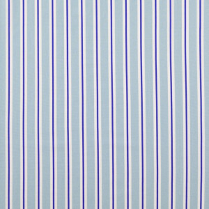 Baumwolle Popeline Digitaldruck gestreift blau