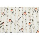 Baumwolljersey digitaldruck rotkehlchen mit birke offwhite