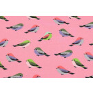Baumwolljersey Vögel rosa